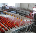 Quality Canned Food Fruit Vegetables Processing Machinery